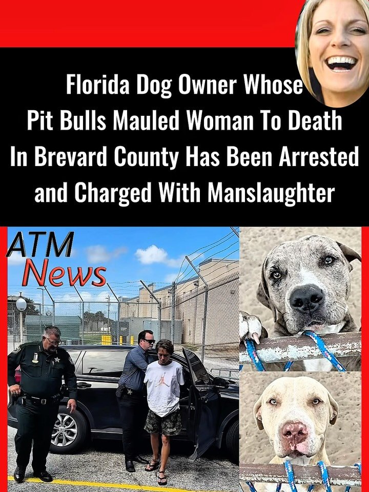 #Accountability! #LindaCutler, 29, was arrested on May 27, a week after two of her #PitBulls mauled her #neighbor, 50-year-old Jodi Cowan, to death in Brevard County, Florida.—As we previously reported, Cowan was walking her own dog when she was viciously attacked. Her husband heard her screaming and intervened by pulling out a knife, but it was too late 💔.—Linda Cutler has been charged with manslaughter. According to the Sheriff, she was enjoying herself on the beach when she was arrested.