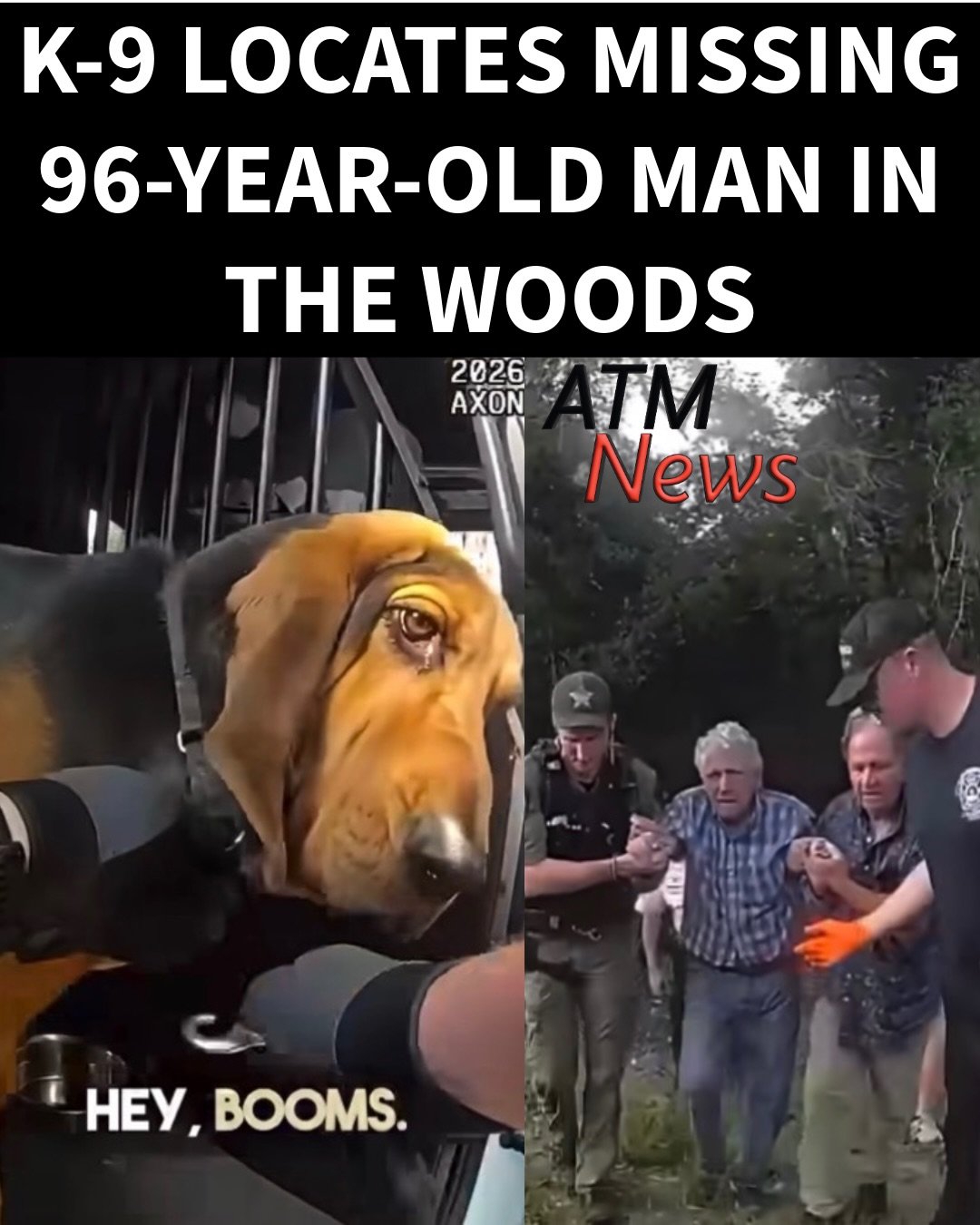 A #HillsboroughCounty Sheriff’s Office #K9 helped locate an endangered 96-year-old #Florida man who wandered to a wooded area, a couple of hundred yards away from his home.