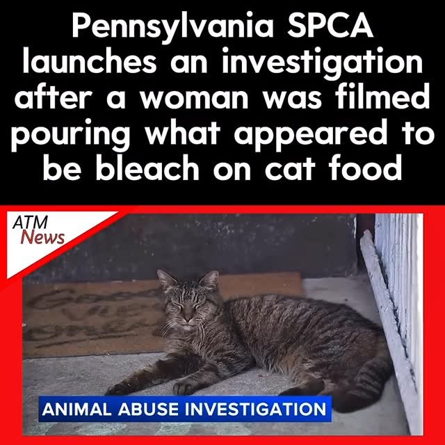Disturbing! #Pennsylvania SPCA is actively investigating after a #viral video showed a woman pouring what appeared to be bleach onto #cat food in Chester.