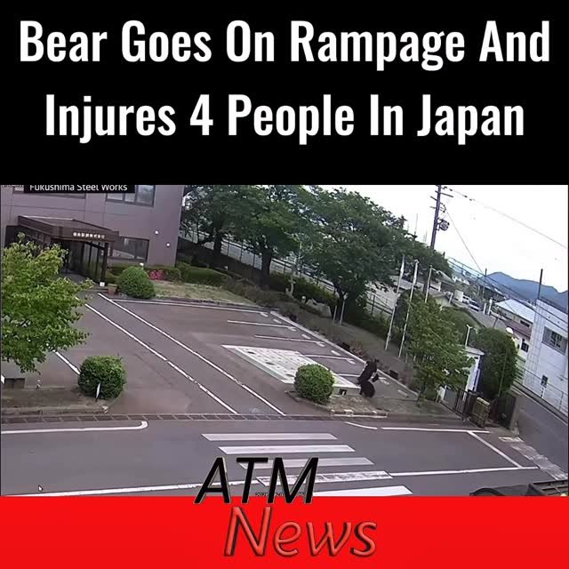 Surveillance footage shows the moment a #bear attacked a man in his 20s outside an office complex in Fukushima, #Japan, on Tuesday, June 2. It threw him to the ground before going into the complex to attack another male employee in his 60s. It didn't stop there. It also went on to attack a woman in her 80s and another man also in his 60s, bringing the total to 4 #victims.—It then fled the scene and couldn't be located by the police.