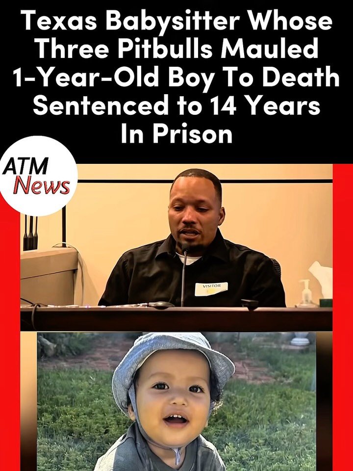 #Update! On June 1, a #Texas judge sentenced Heather Rodriguez to 14 years in prison, almost two years after her three vicious #pitbulls broke through a bedroom door and brutally attacked 1-year-old Jiryiah Johnson, whom she was supposed to be babysitting, on October 7, 2024.—On that day, she left the child in a room with her 13-year-old daughter, and the three dogs were in another room while she was not in the house. One of the pits broke through a door and began mauling the baby, and the two others quickly joined in. The 13-year-old girl fought hard to save the baby. She tried to hold Jiryiah above her head, but the dogs climbed up, tore the baby from her hands, and she was severely bitten as well. Jiryiah later died at the hospital the same day.—Prosecutors argued that Rodriguez knew the dogs were dangerous and had the habit of chewing through doors. During the sentencing, Jiryiah’s parents took the stand, and it was clear how difficult it still is for them.