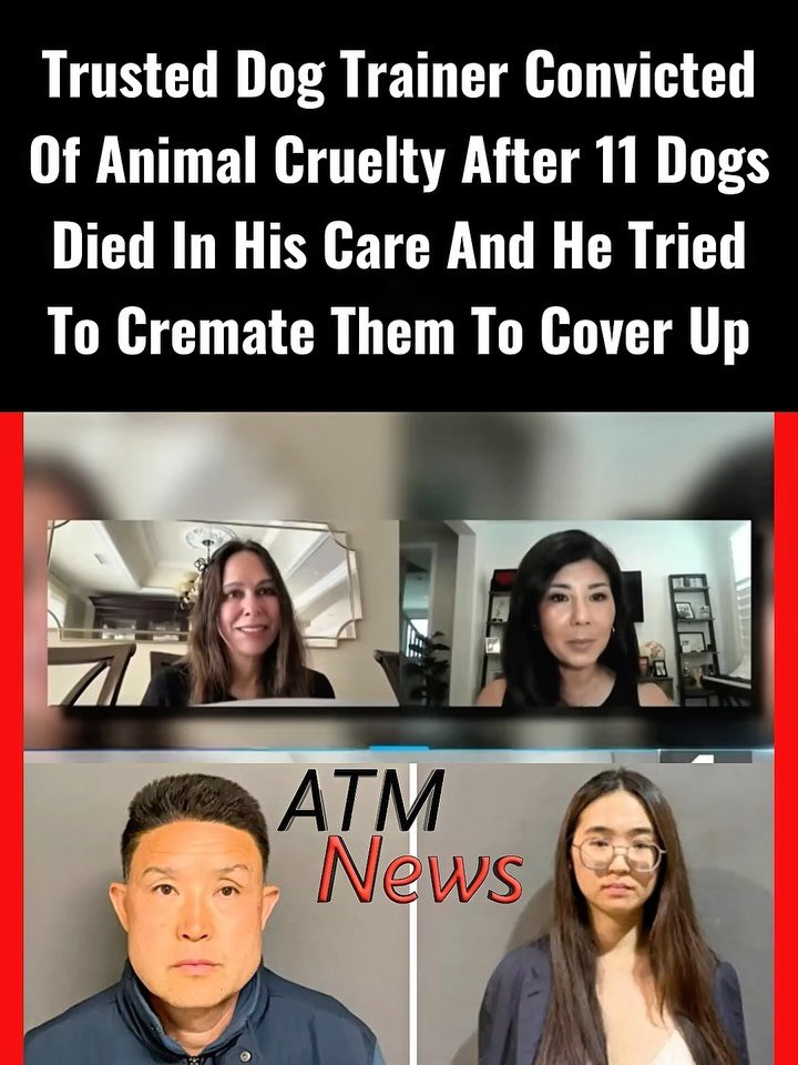 Kwong Chun Sit, 54, a trusted #dog trainer in Irvine, California, was arrested and charged in June 2025 with 11 counts of animal cruelty and multiple counts of attempting to destroy/destroying evidence. On Wednesday, June 17, 2026, he was convicted on all counts, and his 24-year-old girlfriend, Tingfeng Liu, was also convicted of being an accessory to a felony and attempting to destroy evidence.—Prosecutors said that Sit left the 11 dogs he was keeping in small crates inside a hot van. They all died. Then he and his #girlfriend took their bodies to different crematoriums across Southern California before texting the owners, telling them the animals had died peacefully in their sleep.Police were able to stop most of them from being cremated, but two were already cremated. —Sit now faces up to 14 years in #prison, while his girlfriend faces up to 4 years in prison for helping him cover up.