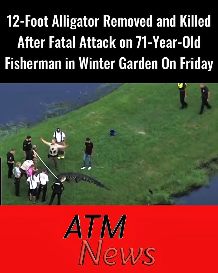 A 71-year-old man was killed by an alligator while he was fishing along the shoreline at Dr. Bradford Memorial Park in Winter Garden, Florida, on Friday, October 16, authorities said.The victim, identified as Steven Hamilton, was pronounced dead at the scene, and his body was recovered from the pond.A trapper later removed an 11-foot-8-inch alligator from the water, and Winter Garden officials confirmed it was killed.The Florida Fish and Wildlife Conservation Commission and Winter Garden police are investigating.—🎥 Wesh2 News