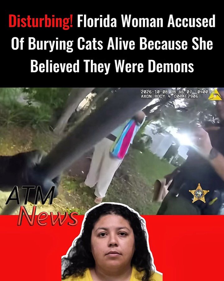 A 37-year-old Florida woman identified as Alba Chavez was arrested on Thursday, October 8, after allegedly burying at least two cats alive in her yard because she believed they were demons.According to the Martin County Sheriff’s Office, deputies responded to Chavez’s home in Hobe Sound, where she reportedly admitted to burying the animals.Investigators immediately began digging through the yard to rescue the cats. Two were found alive and rescued, while two others were discovered dead.Chavez faces four counts of aggravated animal cruelty. She also has an immigration hold as an undocumented immigrant from Venezuela. Authorities are continuing their investigation.