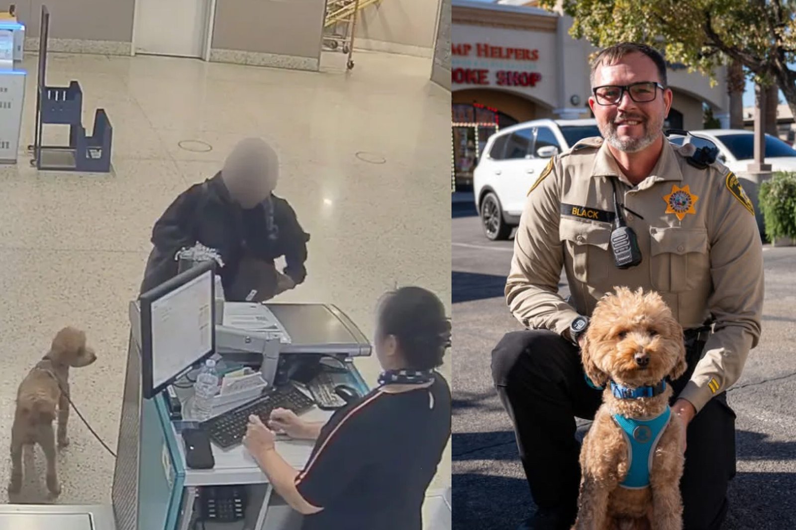Woman Leaves Cute Dog at Airport Ticket Counter – Officer Adopts It Days Later