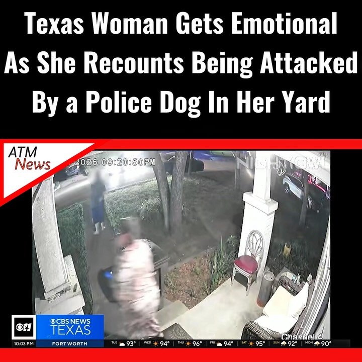 This is #Unfortunate! Regina Allen, 50, sat with @cbsnewstexas to recount the moment she was viciously and unexpectedly attacked by a #PoliceDog (K-9) around 9:30 P.M. on April 12, 2026.—She said that officers were looking for someone in the street in front of her #home, and she approached them, trying to alert them about the mental state of an elderly #neighbor, when she suddenly saw the K-9 run up to her and attack her.—Allen sustained injuries from the #attack. Her husband said that he didn't receive an excuse or hear from the police regarding what the dog did. They have now retained an attorney and filed an internal complaint, but a lawsuit hasn't been filed yet.