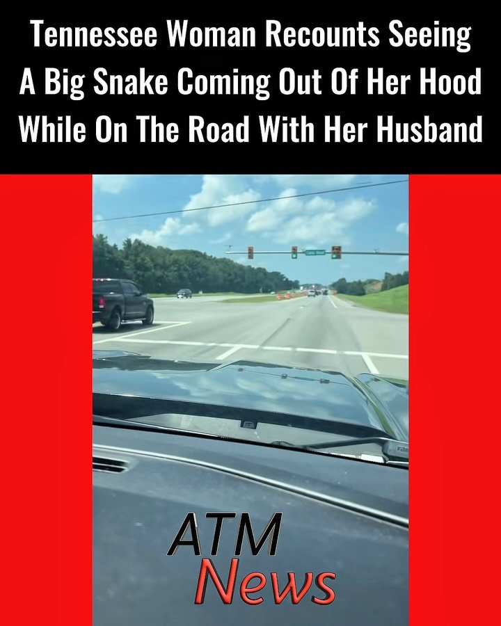 Oops!! Analissa Hensley, of Lebanon, Tennessee, shared the now-viral video of a big #snake coming out of her #car’s hood while she and her husband were on the road. Fortunately, the snake jumped off just as they were about to stop, and no one was hurt. —#Scary for sure 😩🐍
